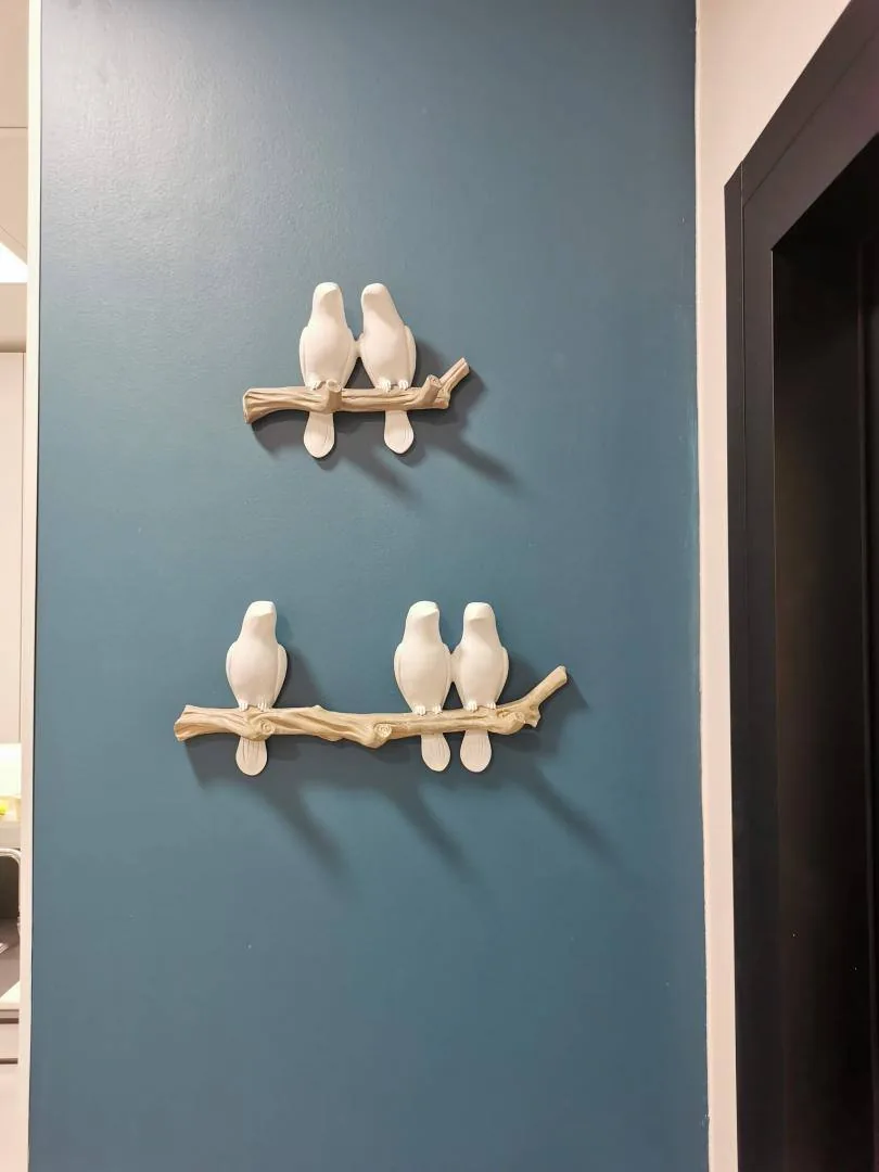 Oiseaux Cabinet Dentaire KEO